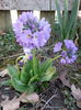 20150331_180157