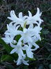 20150331_180505