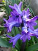 20150331_180524