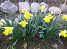 20150331_184658
