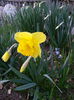 20150331_184715