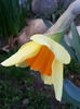 20150331_184748