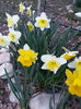 20150331_190749
