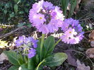 20150402_174019