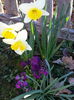 20150402_174038