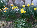 20150402_192834