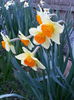 20150402_192850