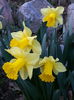 20150402_192854