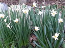 20150402_192910