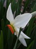 20150402_192923
