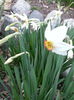 20150402_192958