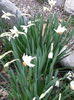 20150402_192939