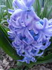 20150402_193330