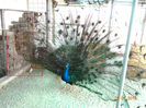 DSC07017