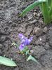 20150401_105026