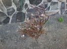 20150404_172005