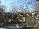 SAM_8980