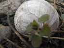 P3250269