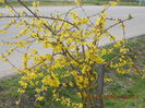 DSCN4128