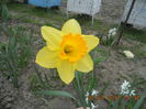 DSCN4106