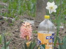 DSCN4112
