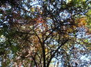 PA090297