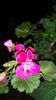 20150405_174833