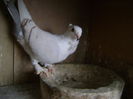 DSC00067