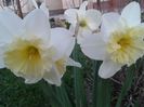 20150404_193255