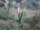 20150406_105402