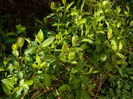 DSCN3074