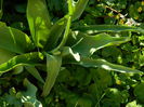 DSCN3076
