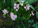 DSCN3096