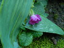 DSCN3127