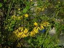 DSCN3134