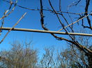 DSCN3149