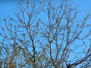 DSCN3151