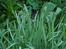 DSCN3170