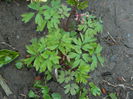 DSCN3171