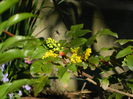 DSCN3177