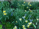 DSCN3179