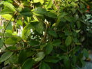 DSCN3181
