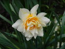 DSCN3182