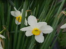 DSCN3188
