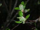 DSCN3204
