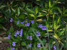 DSCN3206