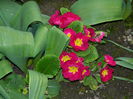 DSCN3217