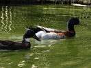 DSC05791