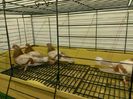 WP_20150406_141