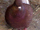 Foto0197